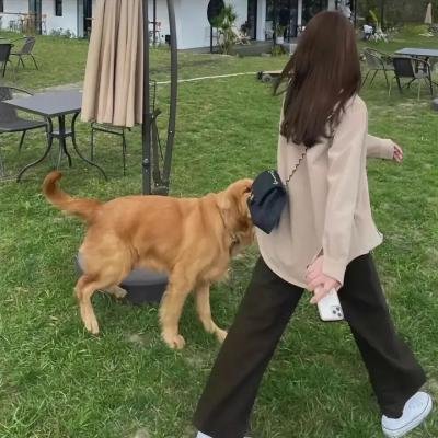 狂覗